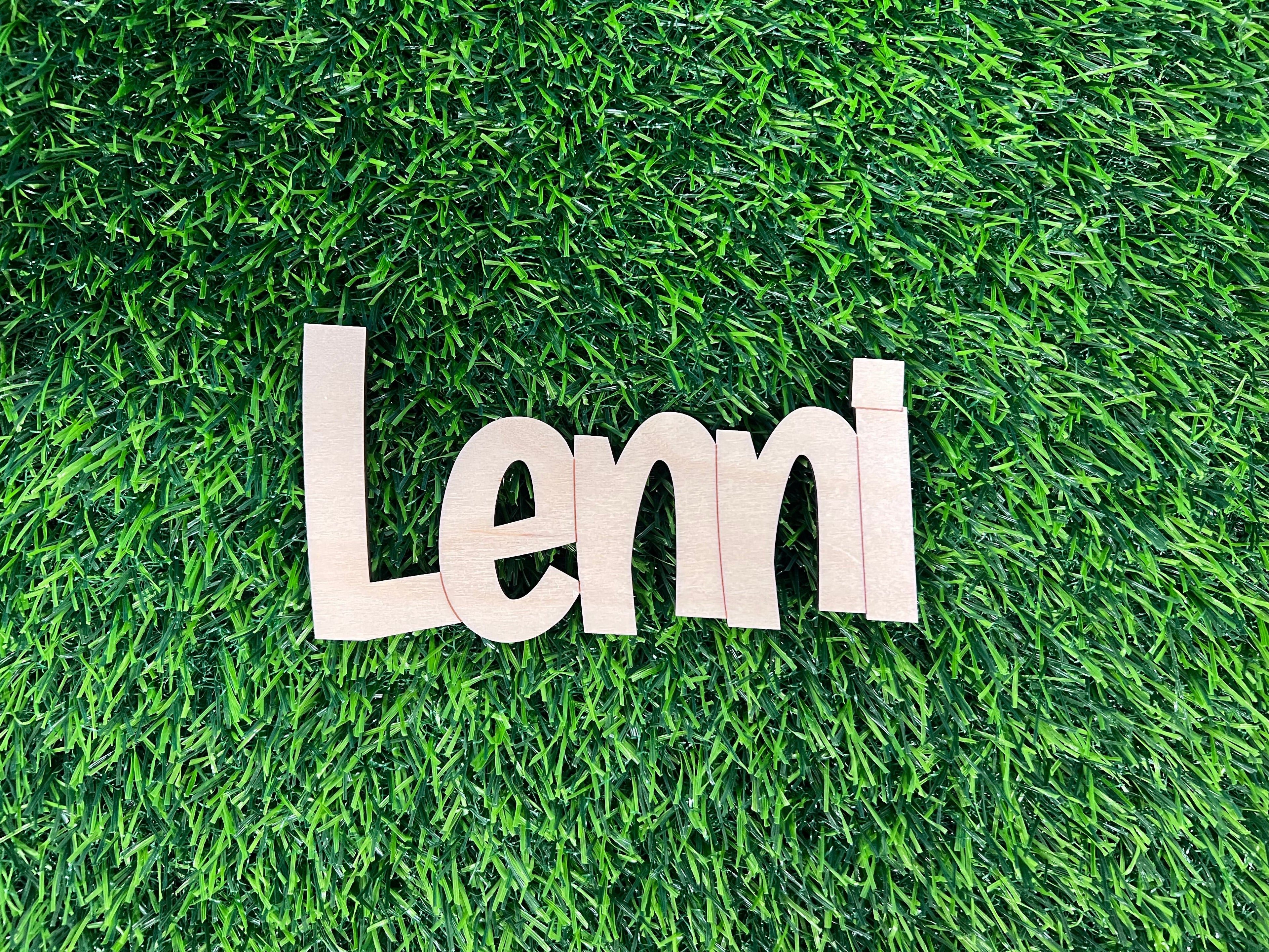 Nimi / ovikyltti omalla nimellä